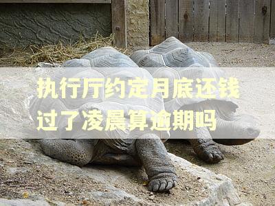 执行厅约定月底还钱过了凌晨算逾期吗