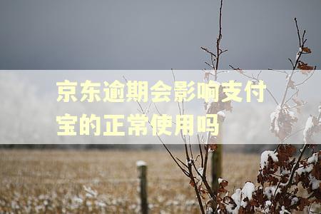 京东逾期会影响支付宝的正常使用吗