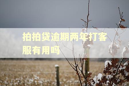 拍拍贷逾期两年打客服有用吗