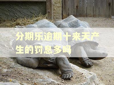 分期乐逾期十来天产生的罚息多吗