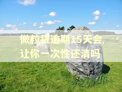微粒贷逾期15天会让你一次性还清吗
