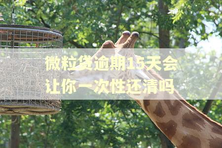 微粒贷逾期15天会让你一次性还清吗
