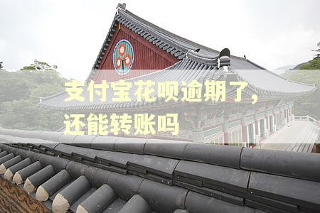 支付宝花呗逾期了,还能转账吗