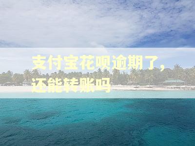 支付宝花呗逾期了,还能转账吗
