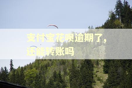 支付宝花呗逾期了,还能转账吗 支付宝花呗逾期了,还能转账吗
