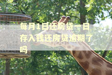 每月1日还房贷一日存入钱还房贷逾期了吗