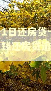每月1日还房贷一日存入钱还房贷逾期了吗