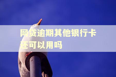 网贷逾期其他银行卡还可以用吗 网贷逾期其他银行卡还可以用吗