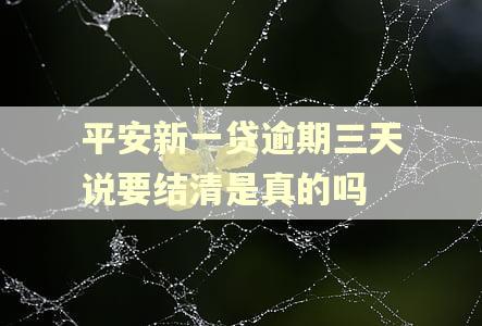 平安新一贷逾期三天说要结清是真的吗