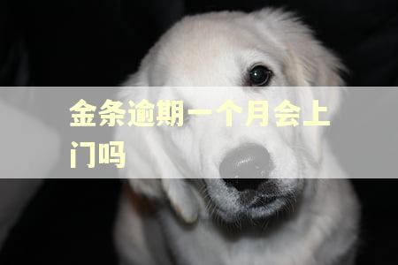 金条逾期一个月会上门吗