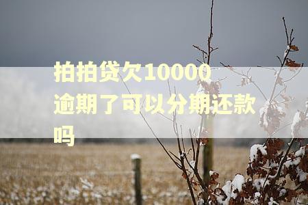 拍拍贷欠10000逾期了可以分期还款吗