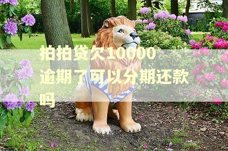 拍拍贷欠10000逾期了可以分期还款吗