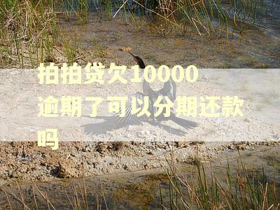 拍拍贷欠10000逾期了可以分期还款吗