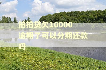 拍拍贷欠10000逾期了可以分期还款吗 拍拍贷欠10000逾期了可以分期还款吗