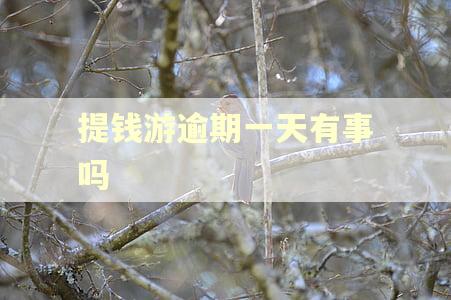 提钱游逾期一天有事吗