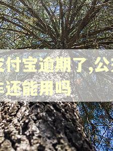 支付宝逾期了,公交车还能用吗