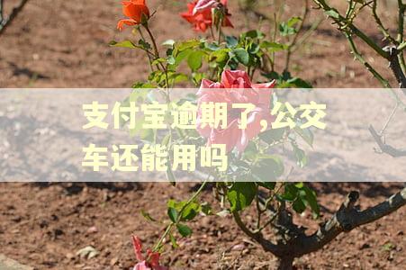 支付宝逾期了,公交车还能用吗
