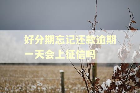 好分期忘记还款逾期一天会上征信吗