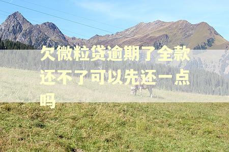 欠微粒贷逾期了全款还不了可以先还一点吗