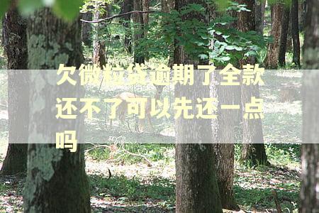 欠微粒贷逾期了全款还不了可以先还一点吗