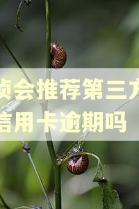 经侦会推荐第三方协商信用卡逾期吗
