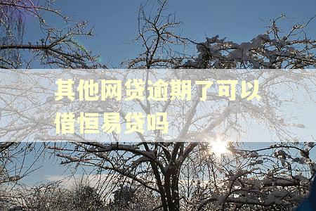 其他网贷逾期了可以借恒易贷吗