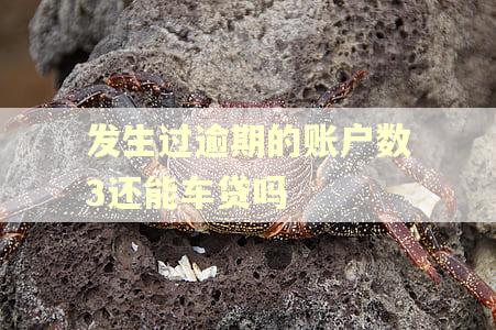 发生过逾期的账户数3还能车贷吗