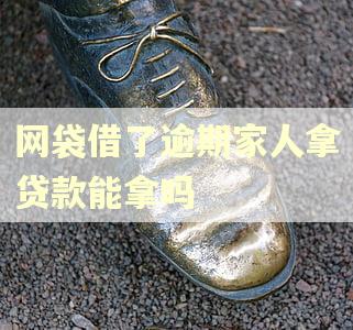 网袋借了逾期家人拿贷款能拿吗
