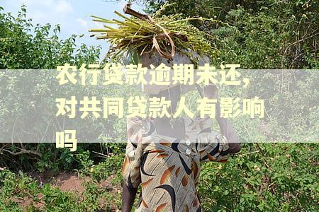 农行贷款逾期未还,对共同贷款人有影响吗