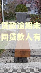 农行贷款逾期未还,对共同贷款人有影响吗 农行贷款逾期未还,对共同贷款人有影响吗