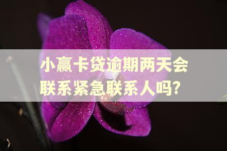 小赢卡贷逾期两天会联系紧急联系人吗?
