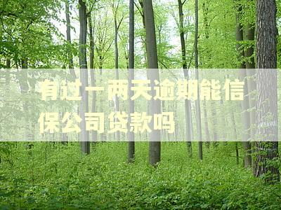 有过一两天逾期能信保公司贷款吗