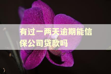 有过一两天逾期能信保公司贷款吗
