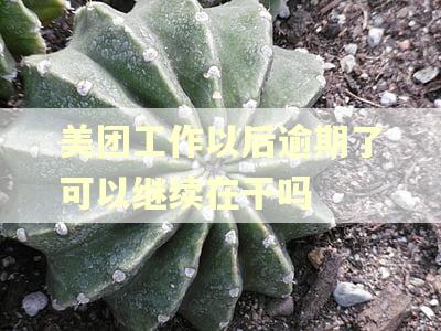 美团工作以后逾期了可以继续在干吗