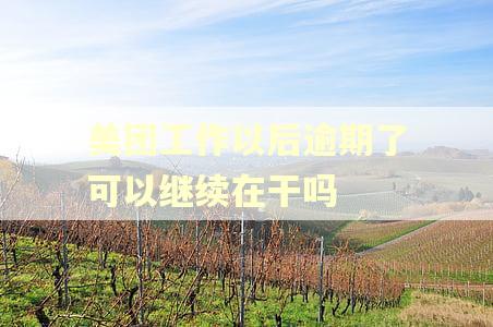 美团工作以后逾期了可以继续在干吗