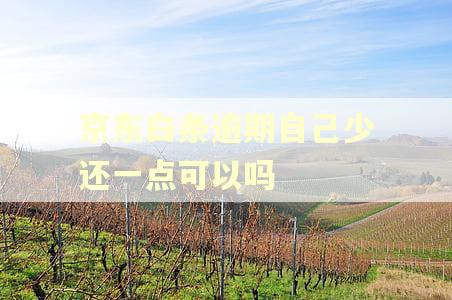 京东白条逾期自己少还一点可以吗