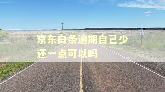 京东白条逾期自己少还一点可以吗
