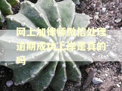 网上加律师微信处理逾期成功上岸是真的吗