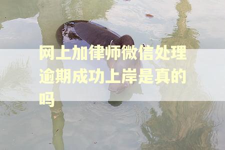 网上加律师微信处理逾期成功上岸是真的吗 网上加律师微信处理逾期成功上岸是真的吗