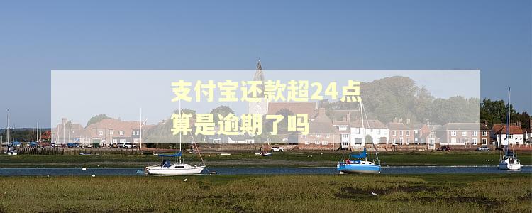 支付宝还款超24点算是逾期了吗