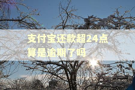 支付宝还款超24点算是逾期了吗