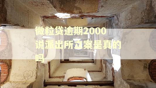 微粒贷逾期2000说派出所立案是真的吗