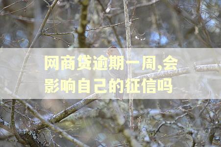 网商贷逾期一周,会影响自己的征信吗
