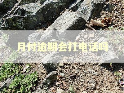 月付逾期会打电话吗
