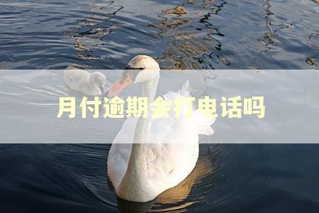 月付逾期会打电话吗