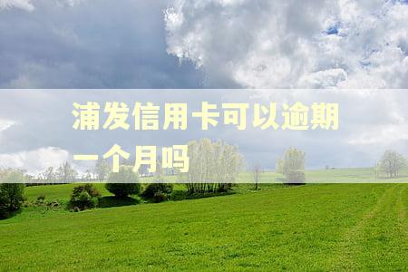 浦发信用卡可以逾期一个月吗