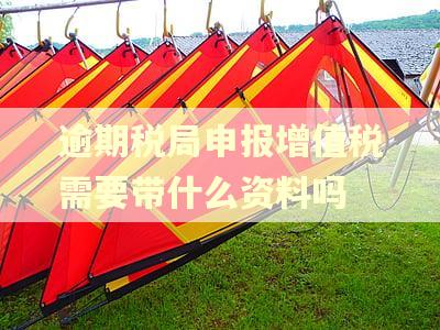 逾期税局申报增值税需要带什么资料吗