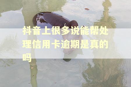 抖音上很多说能帮处理信用卡逾期是真的吗