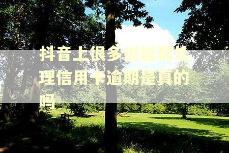 抖音上很多说能帮处理信用卡逾期是真的吗
