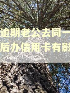 我逾期老公去同一家以后办信用卡有影响吗